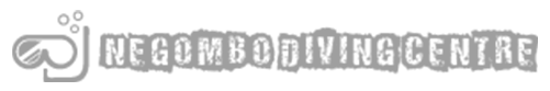partner-logo-16