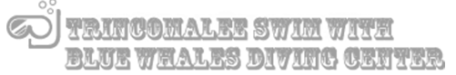 partner-logo-29